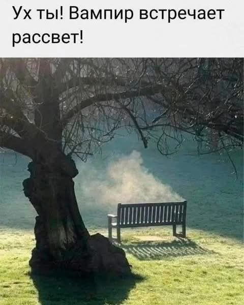 Ух ты Вампир встречает рассвет