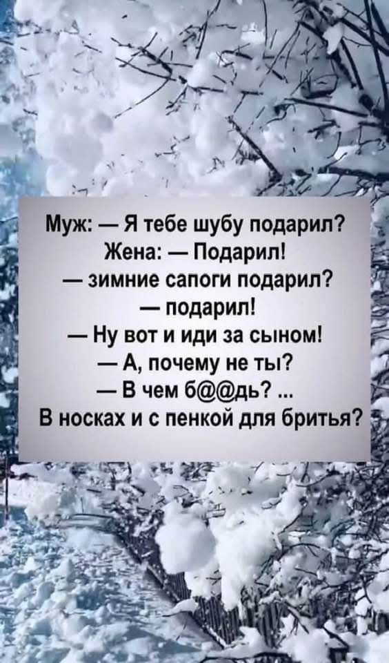 Жена Подарил зимние сапоги подарил подарил Ну вот и иди за сыном А почему не ты В чем бдь уа Муж Я тебе шубу подарил Ё 5 я В носках и с пенкой для бритья