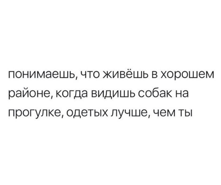 понимаешь что живёшь в хорошем районе когда видишь собак на прогулке одетых лучше чем ты