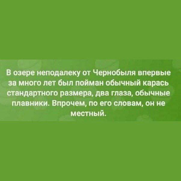 В озере неподалеку от Чернобыля впервые за много лет был пойман обычный карась стандартного размера два глаза обычные плавники Впрочем по его словам он не местный