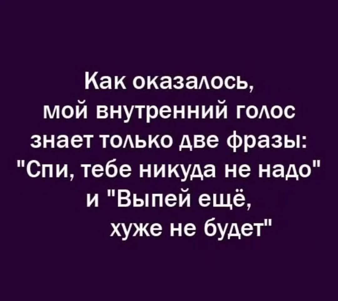 Как оказалось мой внутренний голос знает только две фразы Спи тебе никуда не надо и Выпей ещё хуже не будет