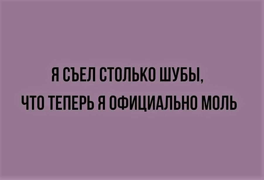 Я СЪЕЛ СТОЛЬКО ШУБЫ ЧТО ТЕПЕРЬ Я ОФИЦИАЛЬНО МОЛЬ