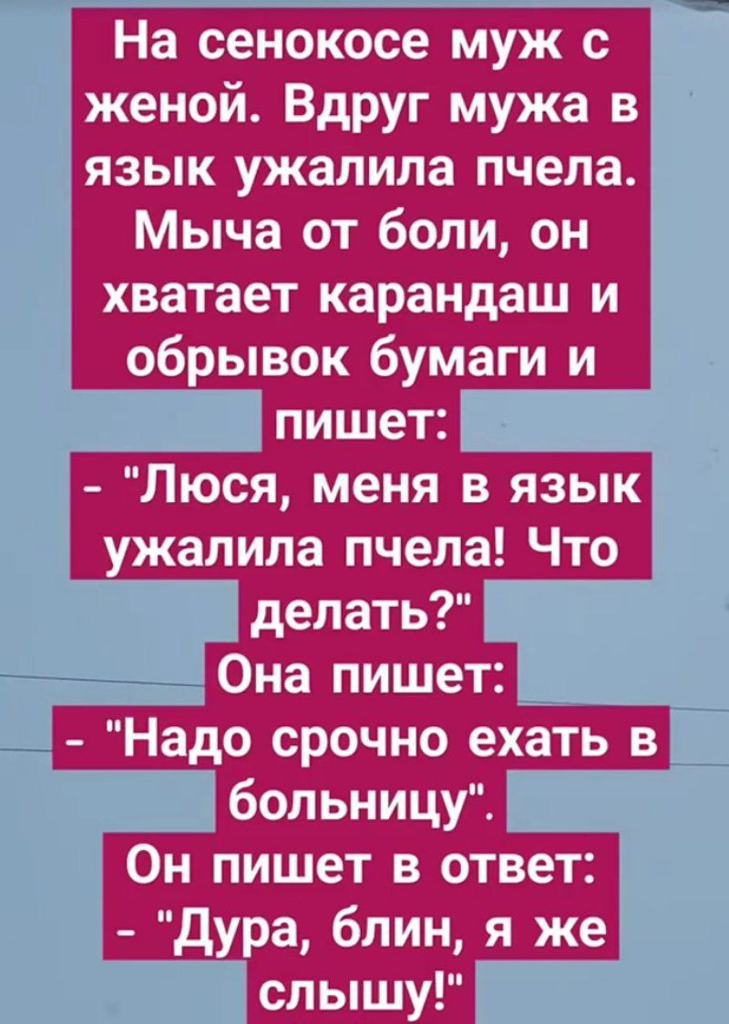 На сенокосе муж с женой Вдруг мужа в язык ужалила пчела Мыча от боли он хватает карандаш и обрывок бумаги и пишет Люся меня в язык ужалила пчела Что делать Она пишет Надо срочно ехать в больницу Он пишет в ответ Дура блин я же слышу