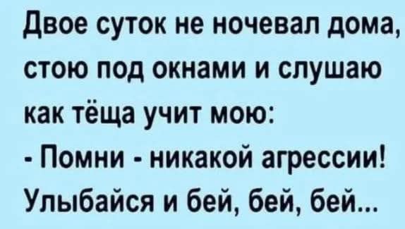 Двое суток не ночевал дома стою под окнами и слушаю как тёща учит мою Помни никакой агрессии Улыбайся и бей бей бей