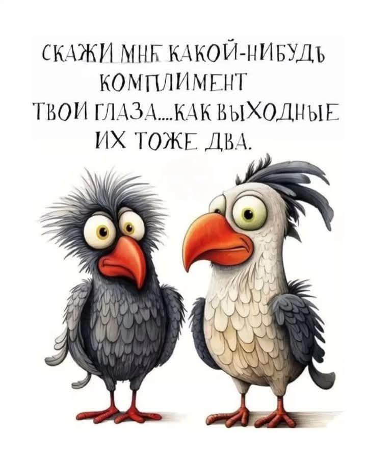 СКАЖИ МНК КАКОЙ НИБУДЪ КОМПЛИМЕНТ ТВОИ ГЛАЗАКАК ВЫХОДНЫЕ ИХ ТОЖЕ ДВА