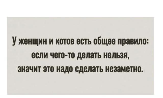 У женщин и котов есть общее правило: если чего-то делать нельзя, значит это надо сделать незаметно.