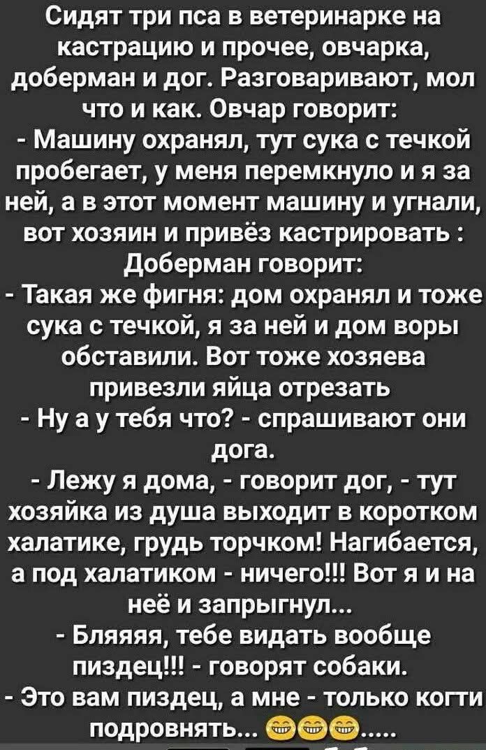 Сидят три пса в ветеринарке на кастрацию и прочее, овчарка, доберман и дог. Разговаривают, мол что и как. Овчар говорит:
- Машину охранял, тут сука с течкой пробегает, у меня перемкнуло и за ней, а в этот момент машину и угнали, вот хозяин и привёз кастрировать:  Доберман говорит:
- Такая же фигня: дом охранял и тоже сука с течкой, я за ней и дом воры обставили. Вот тоже хозяева привезли яйца отрезать
- Ну а у тебя что? - спрашивают они дога.
- Лежу я дома, - говорит дог, - тут хозяйка из души выходит в коротком халатике, грудь торчит! Нагибается, а под халатиком - ничего!!! Вот я и на ней и запрыгнул...
- Бляяяя, тебе видать вообще пиздец! - говорят собаки.
- Это вам пиздец, а мне только коти подтронуть...
