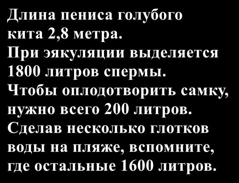 Длина пениса голубого кита 2,8 метра.
При эякуляции выделяется 1800 литров спермы.
Чтобы оплодотворить самку, нужно всего 200 литров.
Сделав несколько глотков воды на пляже, вспомните, где остальные 1600 литров.