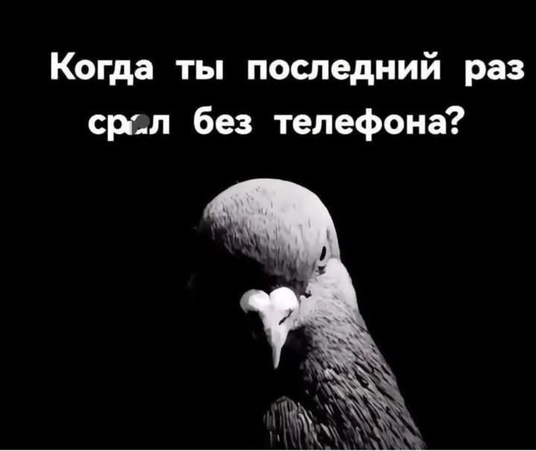 Когда ты последний раз спал без телефона?