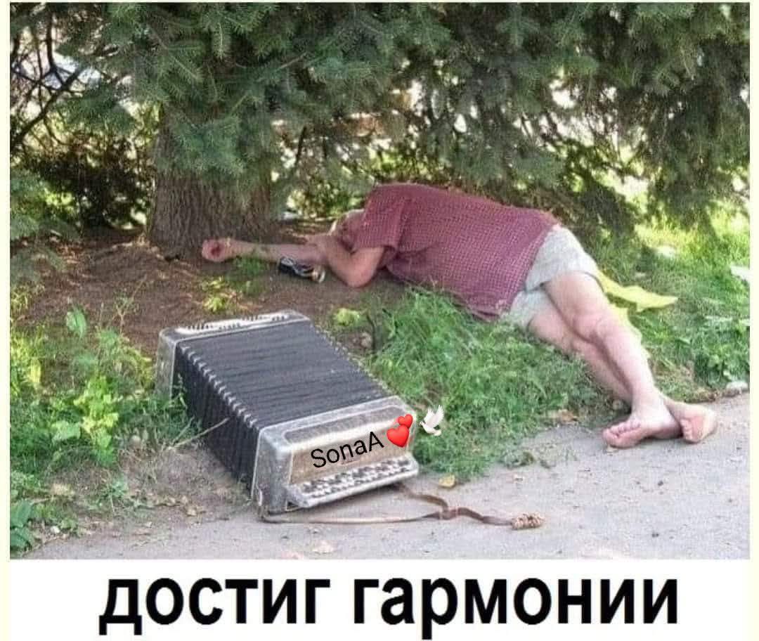 достиг гармонии