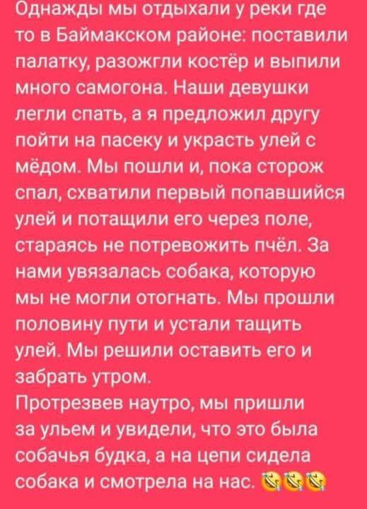 Однажды мы отдыхали у реки где то в Бaimакском районе: поставили палатку, разожгли костёр и выпили много самогонa. Наши девушки легли спать, а я предложил другy пойти на пасеку и украсть улей с мёдом. Мы пошли и, пока сторож спал, схватили первый попавшийся улей и потащили его через поле, стараясь не потревожить пчёл. За нами увязалась собака, которую мы не могли отгонять. Мы прошли половину пути и устали тащить улей. Мы решили оставить его и забрать утром. Протрезвев наутро, мы пришли за улей и увидели, что это была собачья будка, а на цепи сидела собака и смотрела на нас.