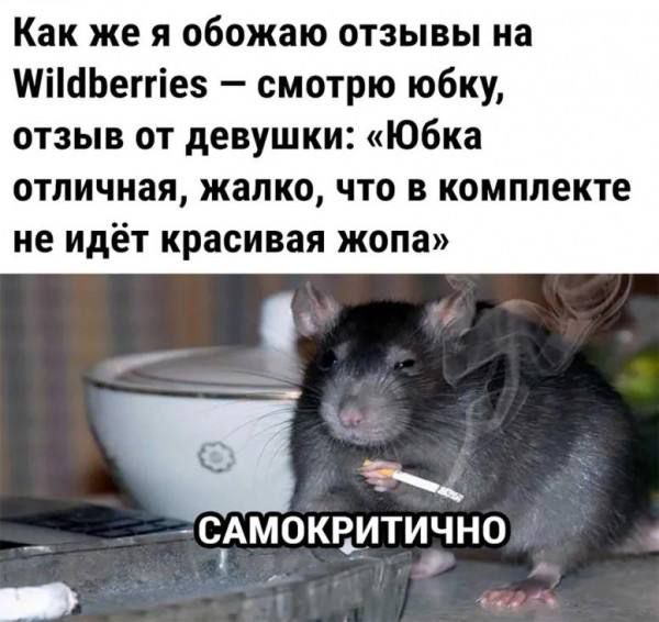 Как же я обожаю отзывы на Wildberries – смотрю юбку, отзыв от девушки: «Юбка отличная, жалко, что в комплекте не идёт красивая жопа»