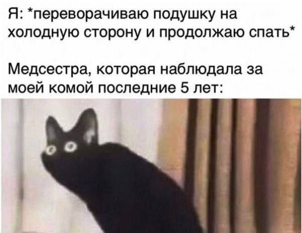 Я: *переворачиваю подушку на холодную сторону и продолжаю спать* Медсестра, которая наблюдала за моей комой последние 5 лет: