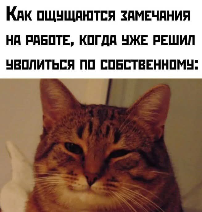 Как ощущаются замечания на работе, когда уже решил уволиться по собственному: