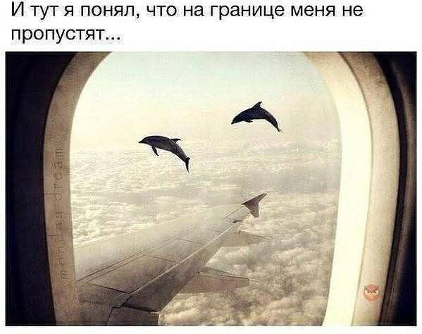 И тут я понял, что на границе меня не пропустят...
