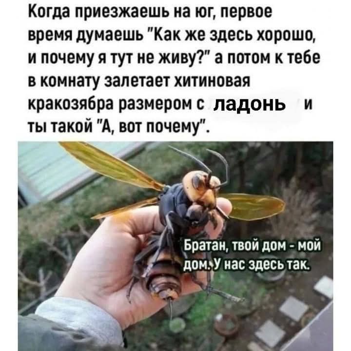 Когда приезжаешь на юг, первое время думаешь 