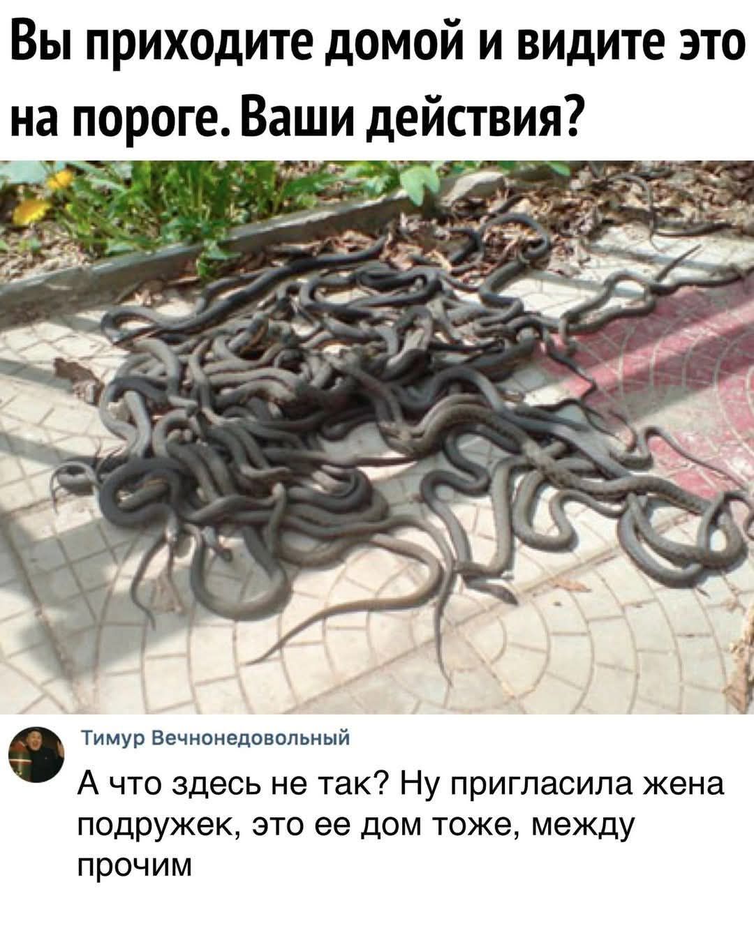 Вы приходите домой и видите это на пороге. Ваши действия? А что здесь не так? Ну пригласила жена подружек, это ее дом тоже, между прочим.