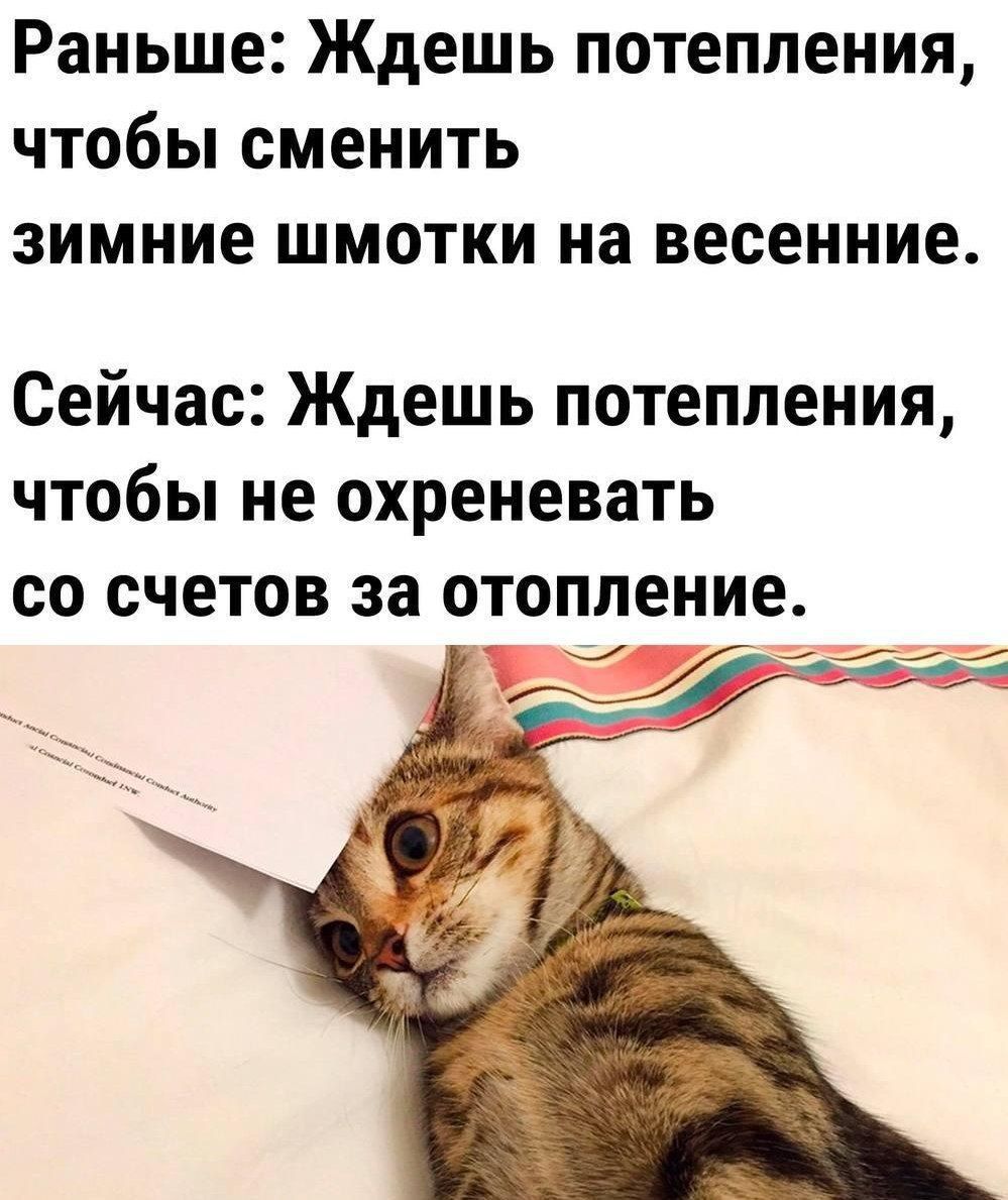 Раньше: Ждешь потепления, чтобы сменить зимние шмотки на весенние.
Сейчас: Ждешь потепления, чтобы не охреневать со счетов за отопление.