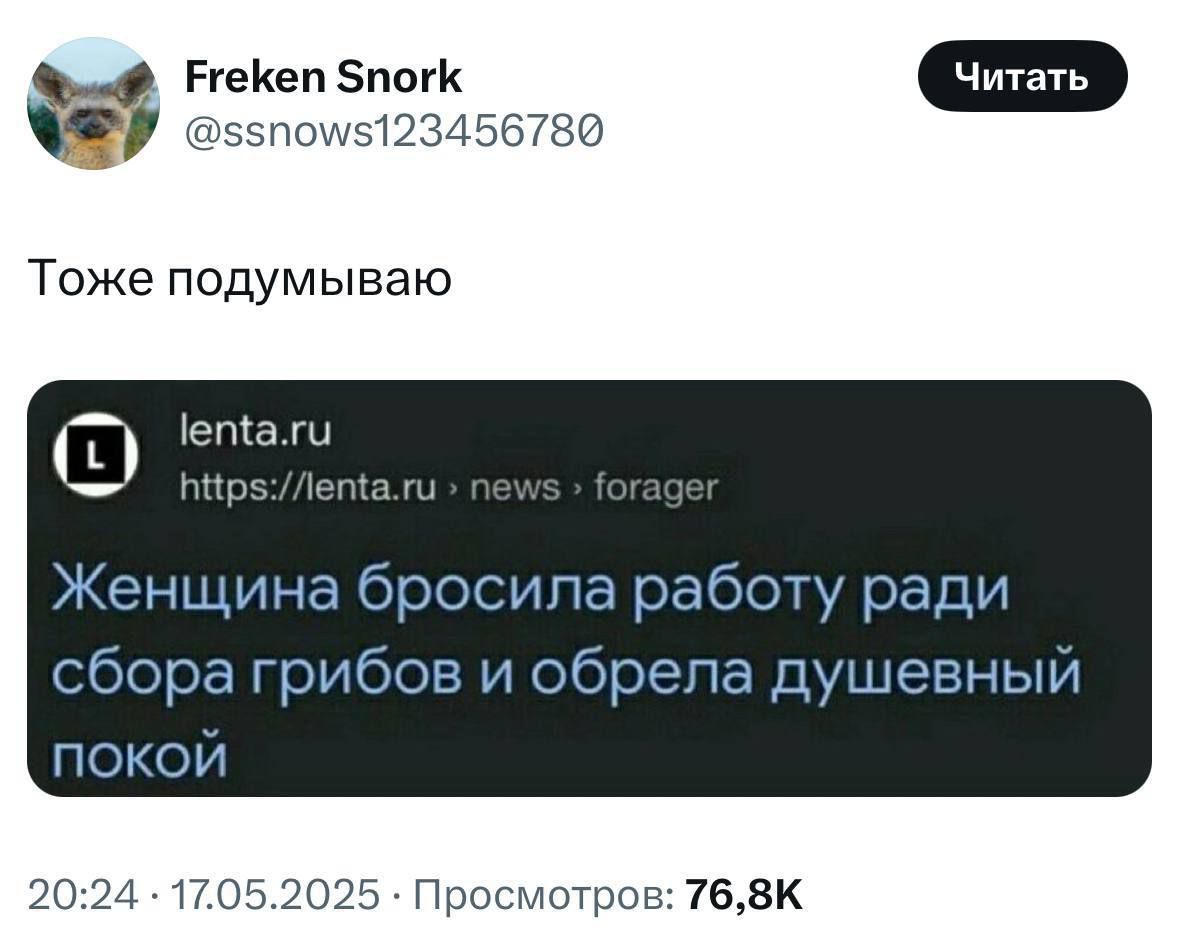 Женщина бросила работу ради сбора грибов и обрела душевный покой
