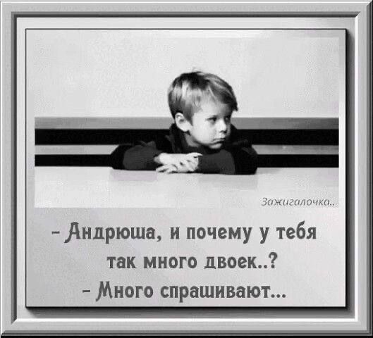 - Андрюша, и почему у тебя так много двоек..?  - Много спрашивают...