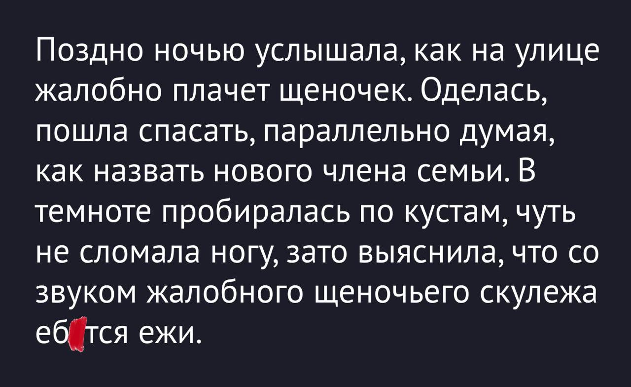 Поздно ночью слышала, как на улице жалобно плачет щеночек. Оделась, пошла спасать, параллельно думая, как назвать нового члена семьи. В темноте пробиралась по кустам, чуть не сломала ногу, зато выяснила, что со звуком жалобного щенячьего скулежа ебется ёжик.