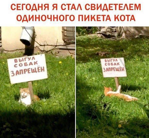 СЕГОДНЯ Я СТАЛ СВИДЕТЕЛЕМ ОДИНОЧНОГО ПИКЕТА КОТА

ВЫГУЛ СОБАК ЗАПРЕЩЕН