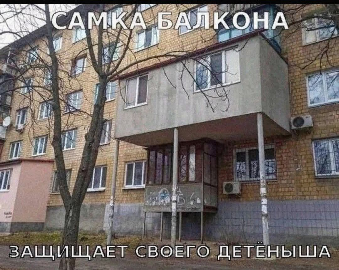 САМКА БАЛКОНА ЗАЩИЩАЕТ СВОЕГО ДЕТЕНЫША