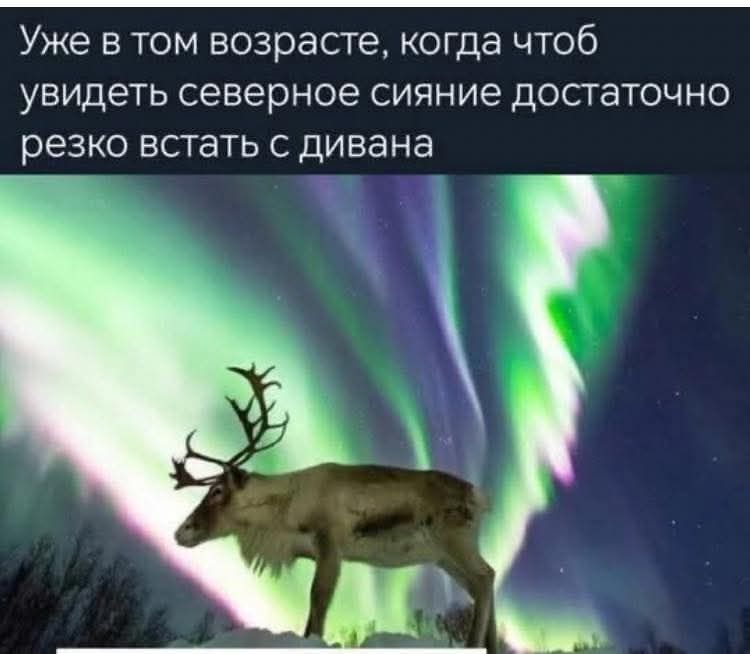 Уже в том возрасте, когда чтобы увидеть северное сияние достаточно резко встать с дивана
