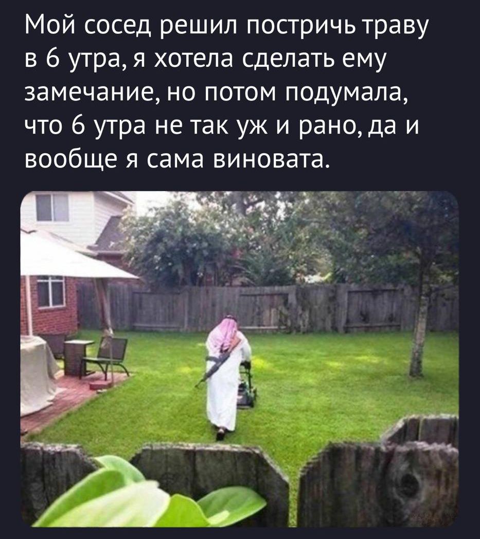Мой сосед решил постричь траву в 6 утра, я хотела сделать ему замечание, но потом подумала, что 6 утра не так уж и рано, да и вообще я сама виновата.