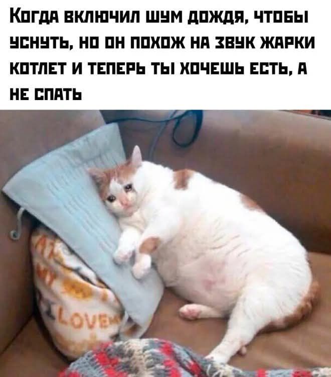 Когда включил шум дождя, чтобы уснуть, но он похож на звук жарки котлет и теперь ты хочешь есть, а не спать