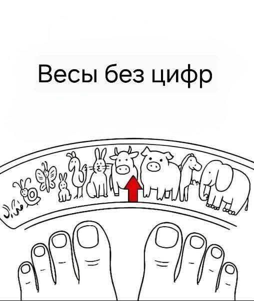 Весы без цифр