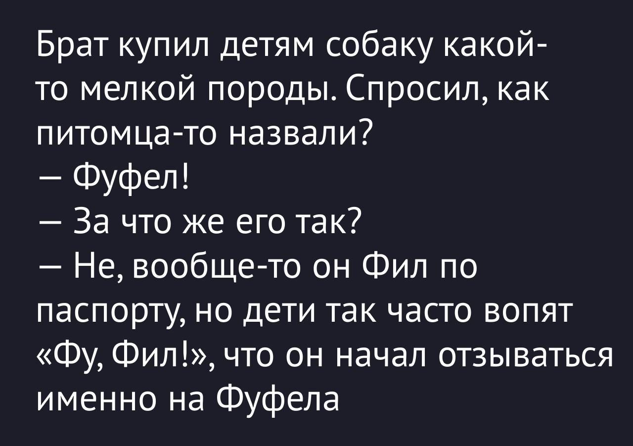 Брат купил детям собаку какой-то мелкой породы. Спросил, как питомца-то назвали?
— Фуфель!
— За что же его так?
— Не, вообще-то он Фил по паспорту, но дети так часто вопят «Фу, Фил!», что он начал отзываться именно на Фуфела!