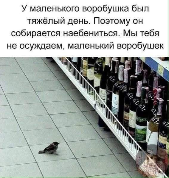 У маленького воробушка был тяжёлый день. Поэтому он собирается наебениться. Мы тебя не осуждаем, маленький воробушек.