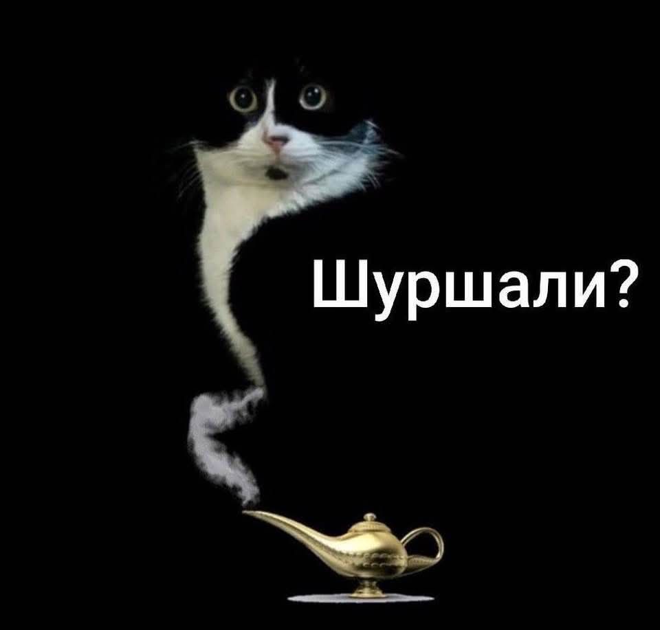 Шуршали?