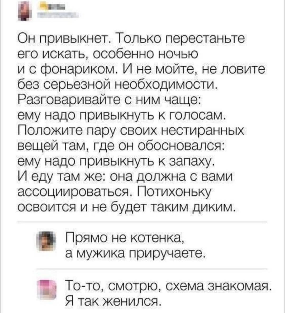 Он привыкнет. Только перестаньте его искать, особенно ночью и с фонариком. И не мойте, не ловите без серьезной необходимости. Разговаривайте с ним чаще: ему надо привыкнуть к голосам. Положите пару своих нестираных вещей там, где он обосновался: ему надо привыкнуть к запаху. И еду там же: она должна с вами ассоциироваться. Потихоньку освоится и не будет таким диким.
Прямо не котенка, а мужика приучаете.
То-то, смотрю, схема знакомая. Я так женилась.