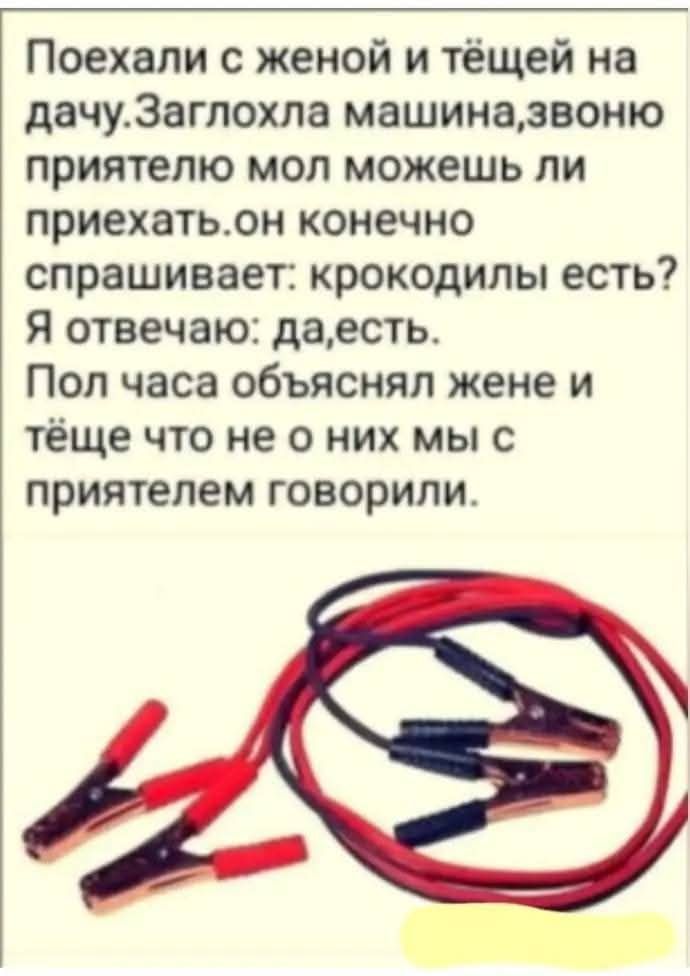 Поехали с женой и тёщей на дачу. Заглохла машина, звоню приятелю: мол, можешь ли приехать. Он, конечно, спрашивает: крокодилы есть? Я отвечаю: да, есть. Пол часа объяснял жене и тёще, что не о них мы с приятелем говорили.
