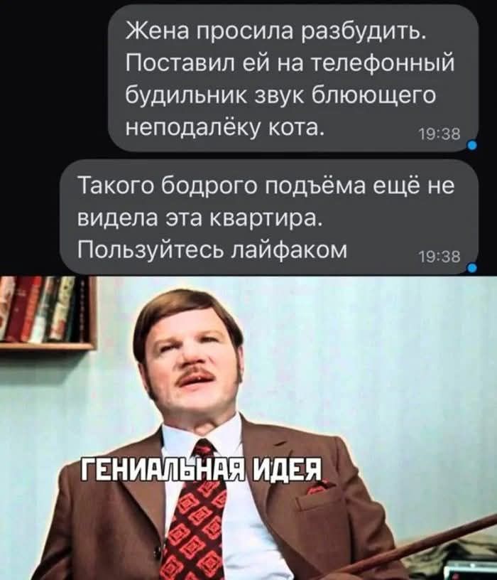 Жена просила разбудить. Поставил ей на телефонный будильник звук блюющего неподлежа. Такого бодрого подъёма ещё не видела эта квартира. Пользуйтесь лайфаком. 
ГЕНИАЛЬНАЯ ИДЕЯ
