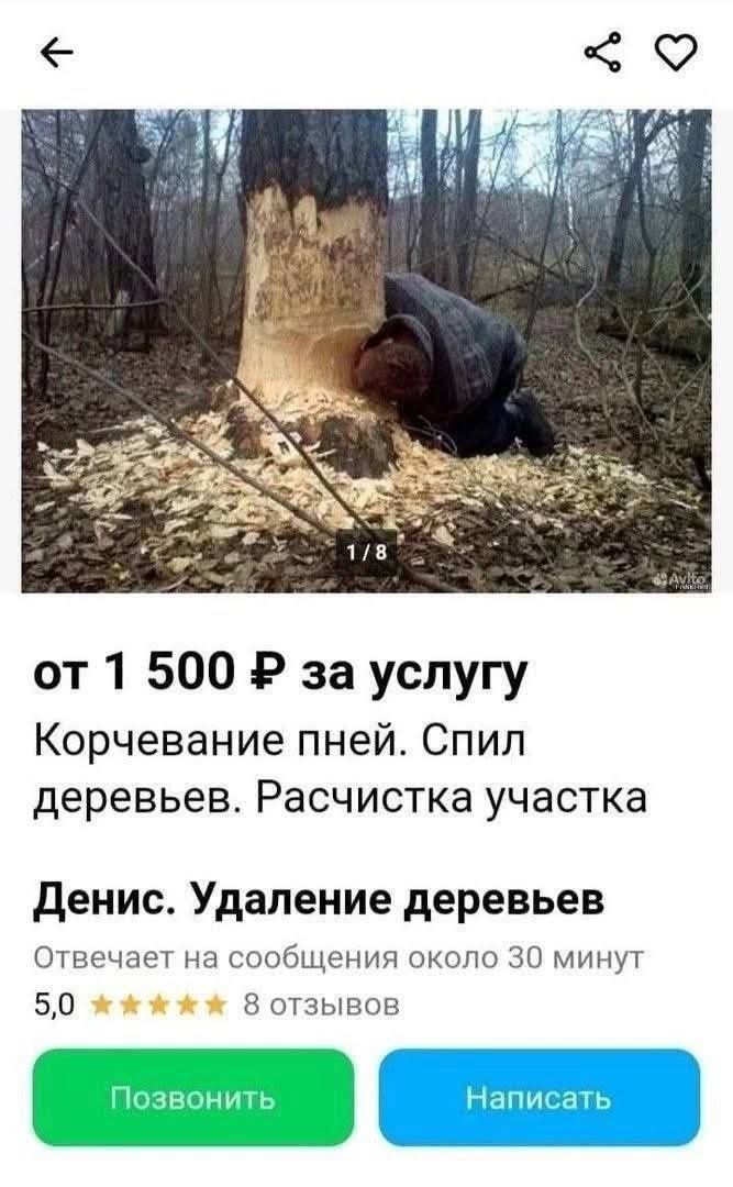 от 1 500 ₽ за услугу
Корчевание пней. Спил деревьев. Расчистка участка
Денис. Удаление деревьев
Отвечает на сообщения около 30 минут
5,0
8 отзывов
Позвонить
Написать