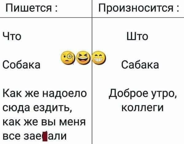 Пишется :
Что
Собака
Как же надоело сюда ездить, как же вы меня все зае​ли

Произносится :
Что
Сабака
Доброе утро, коллеги