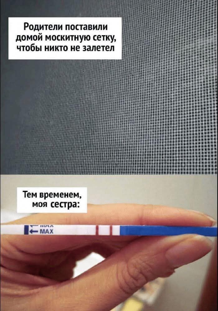 Родители поставили домой москитную сетку, чтобы никто не залетел. Тем временем, моя сестра: