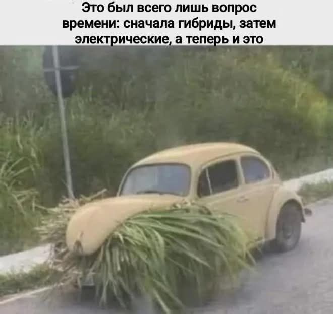 Это был всего лишь вопрос времени: сначала гибриды, затем электрические, а теперь и это