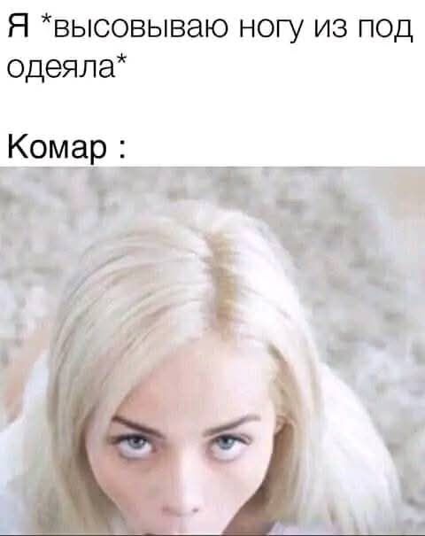 Я *высовываю ногу из под одеяла* Комар :