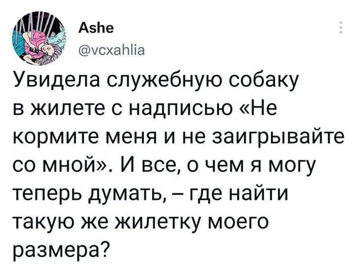 Увидела служебную собаку в жилете с надписью «Не кормите меня и не заигрывайте со мной». И все, о чем я могу теперь думать, – где найти такую же жилетку моего размера?