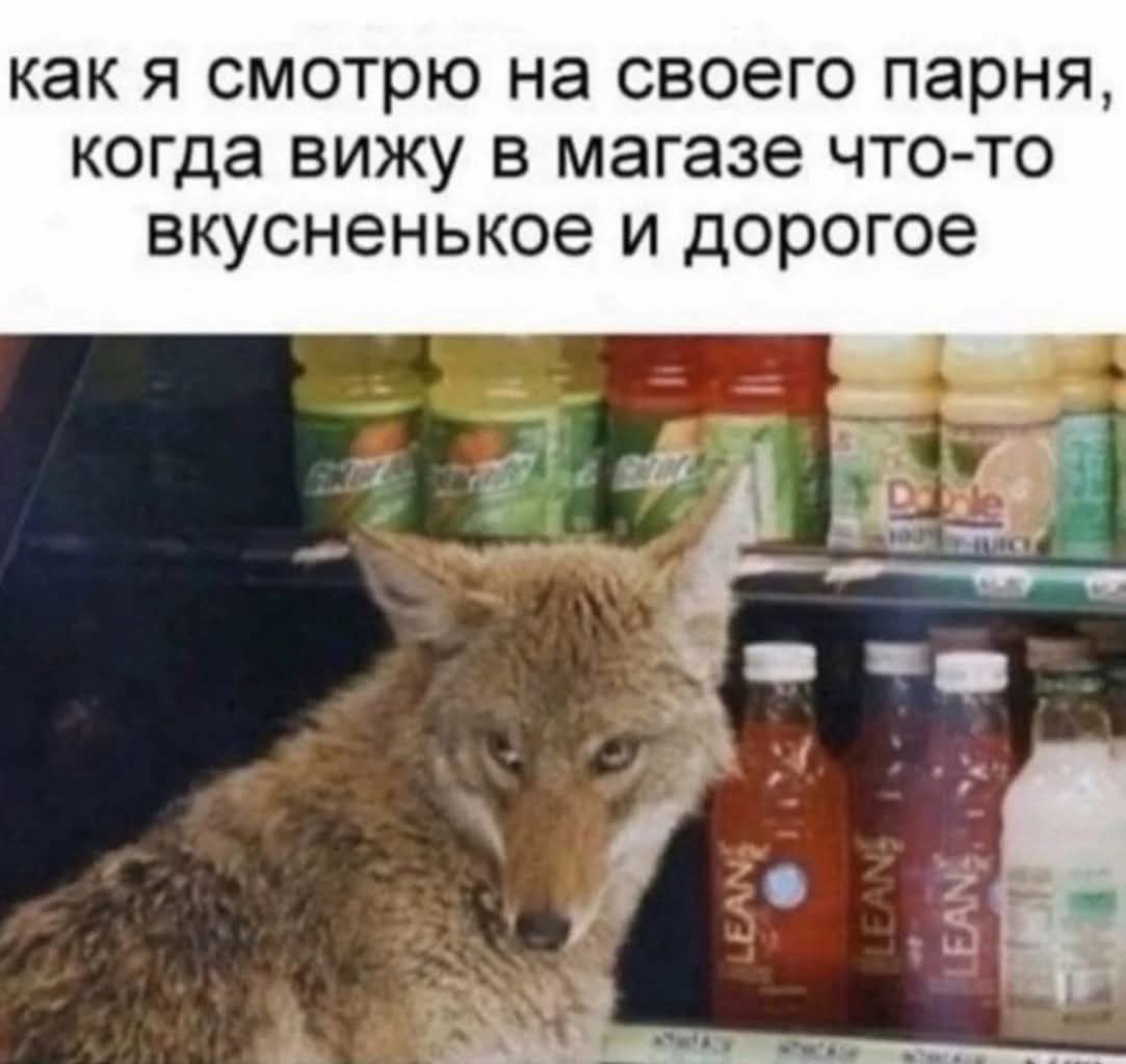 как я смотрю на своего парня, когда вижу в магазине что-то вкусненькое и дорогое