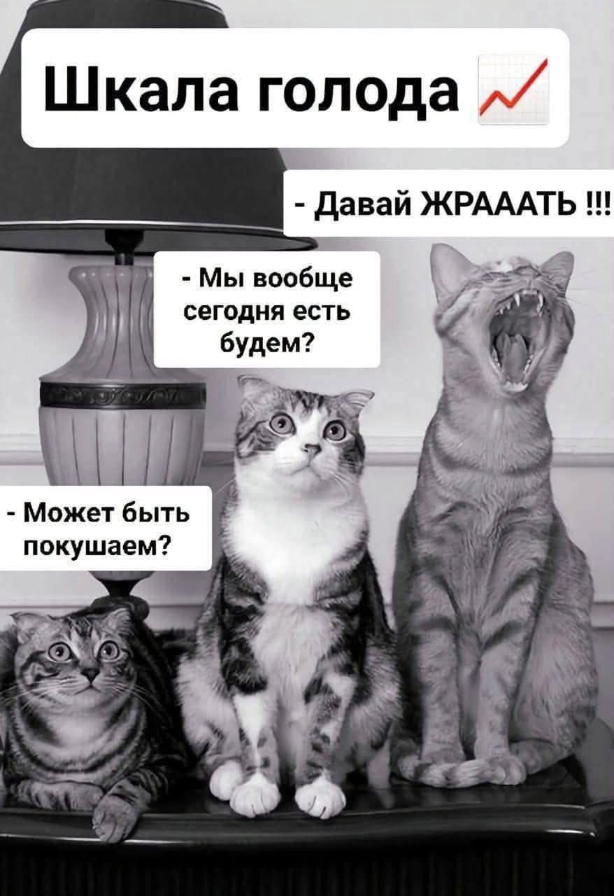 Шкала голода
- Давай ЖРАТЬ!!!
- Мы вообще сегодня есть будем?
- Может быть покушаем?