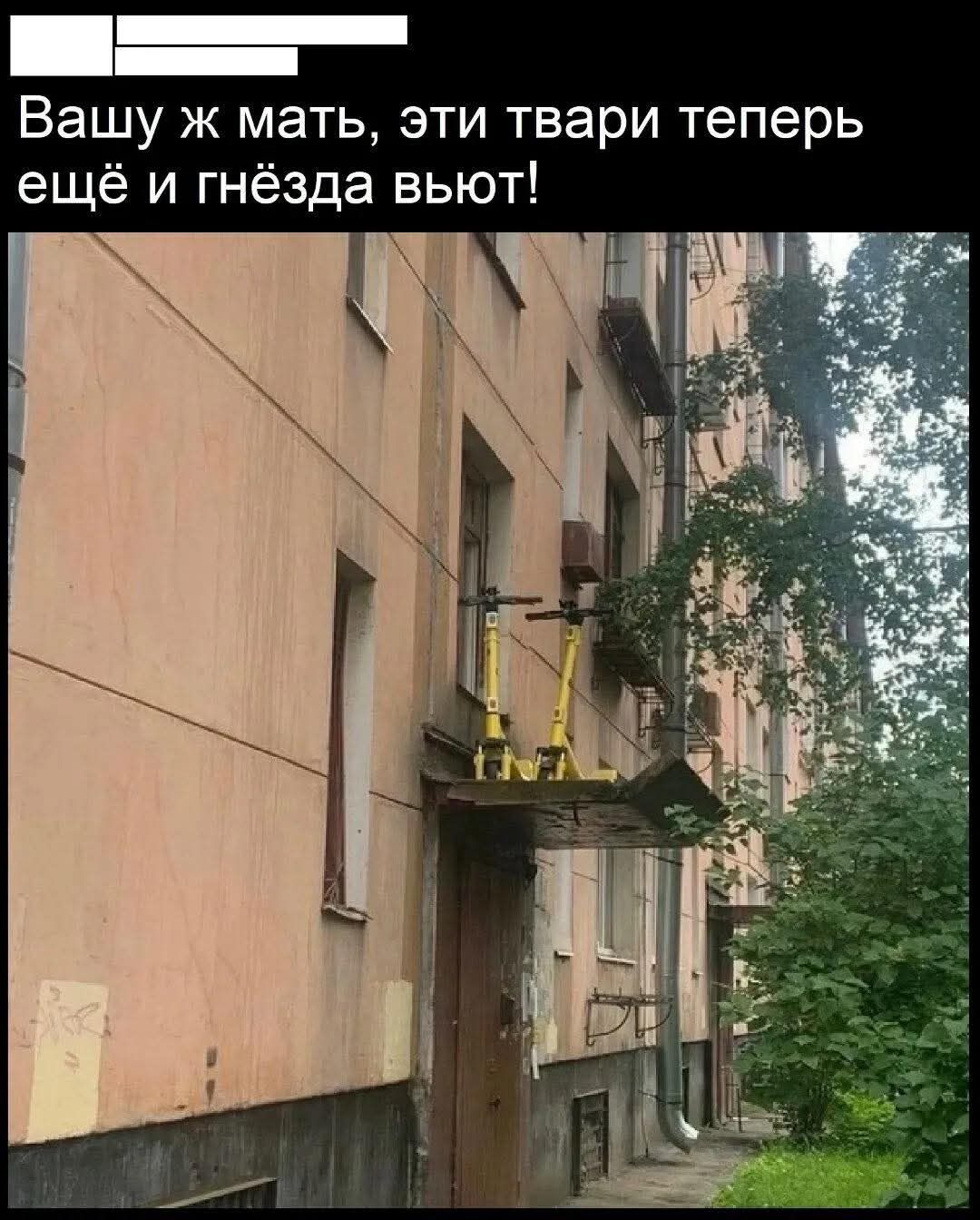 Вашу ж мать, эти твари теперь ещё и гнёзда вьют!