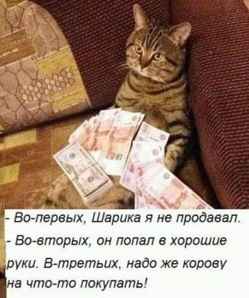 Во-первых, Шарика я не продавал.
Во-вторых, он попал в хорошие руки. В-третьих, надо же корову на что-то покупать!