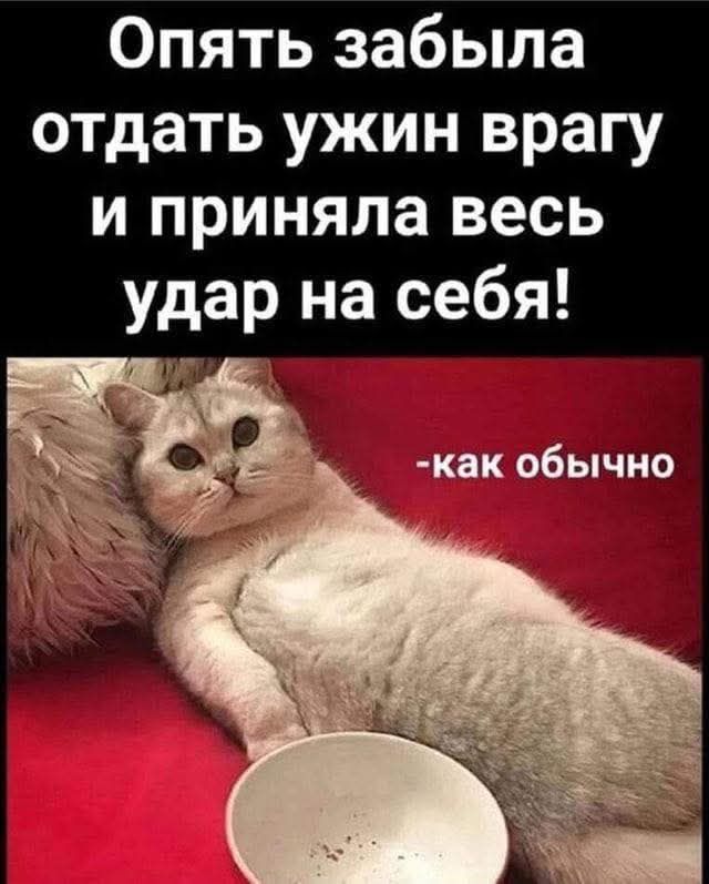 Опять забыла отдать ужин врагу и приняла весь удар на себя! -как обычно