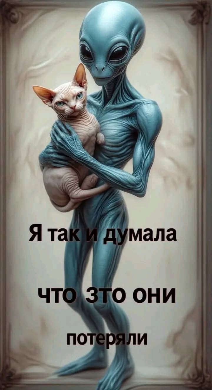 Я так и думала что это они потеряли