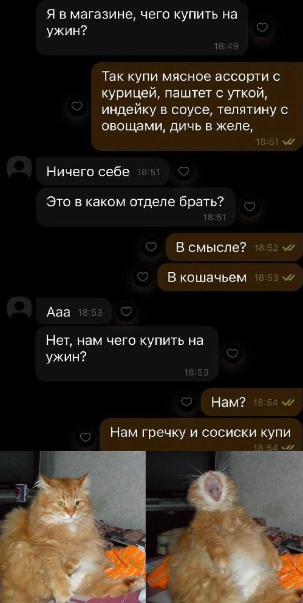 Я в магазине, чего купить на ужин? Так купи мясное ассорти с курицей, паштет с уткой, индейку в соусе, телятину с овощами, дичь в желе, Ничего себе, Это в каком отделе брать? В смысле? В кошачьем Ааа Нет, нам чего купить на ужин? Нам? Нам гречку и сосиски купи